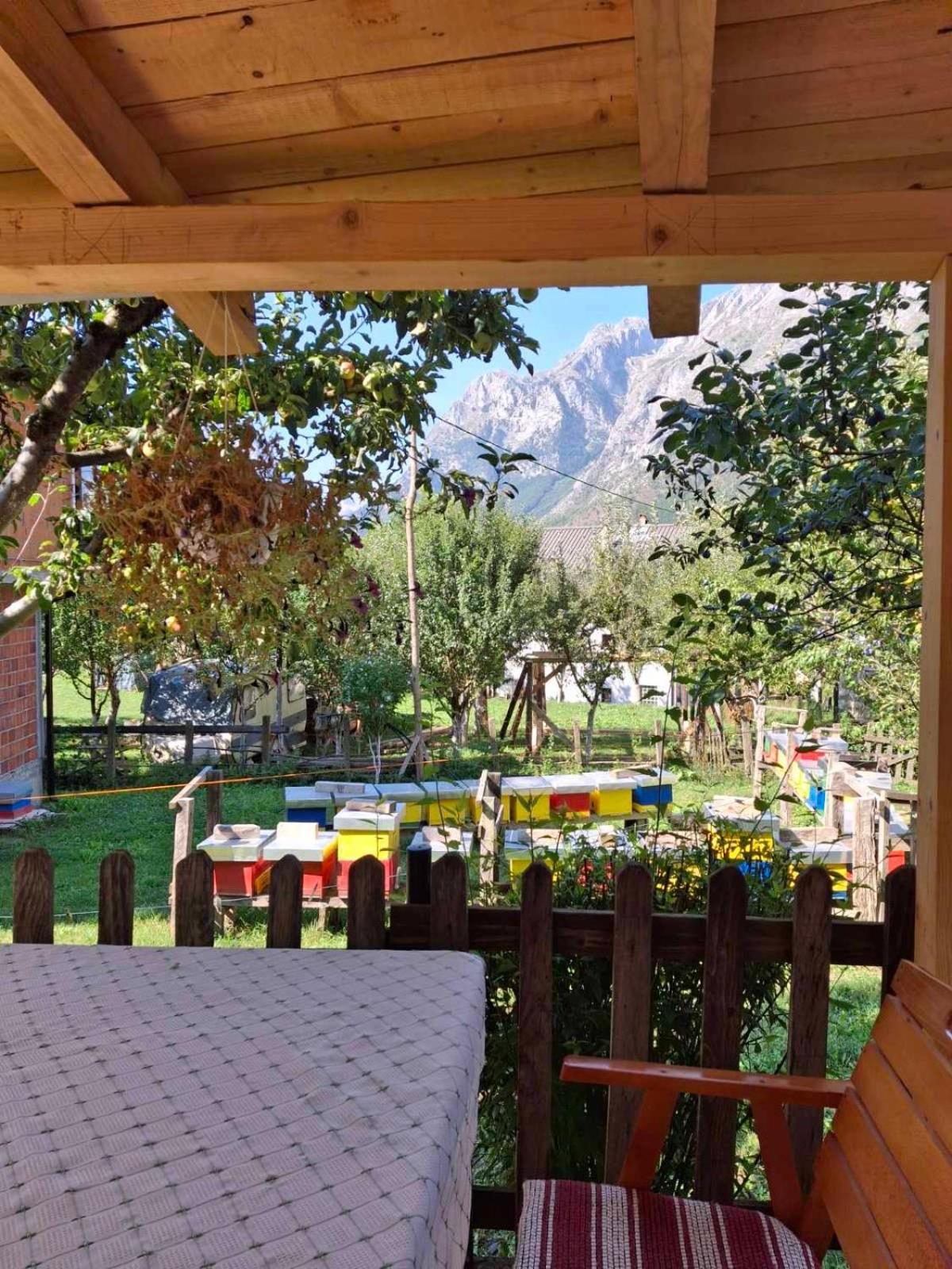 Guest House Guri Vusanje Экстерьер фото